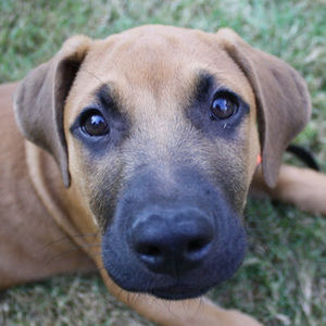 Meet your Posher, Douglas